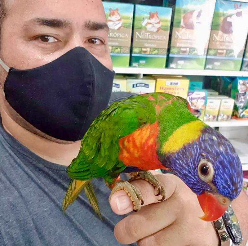 Breeder with Lorikeet