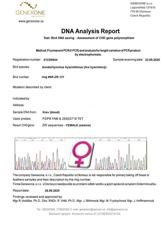 DNA Analysis Report